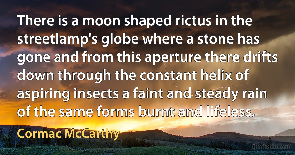 There is a moon shaped rictus in the streetlamp's globe where a stone has gone and from this aperture there drifts down through the constant helix of aspiring insects a faint and steady rain of the same forms burnt and lifeless. (Cormac McCarthy)