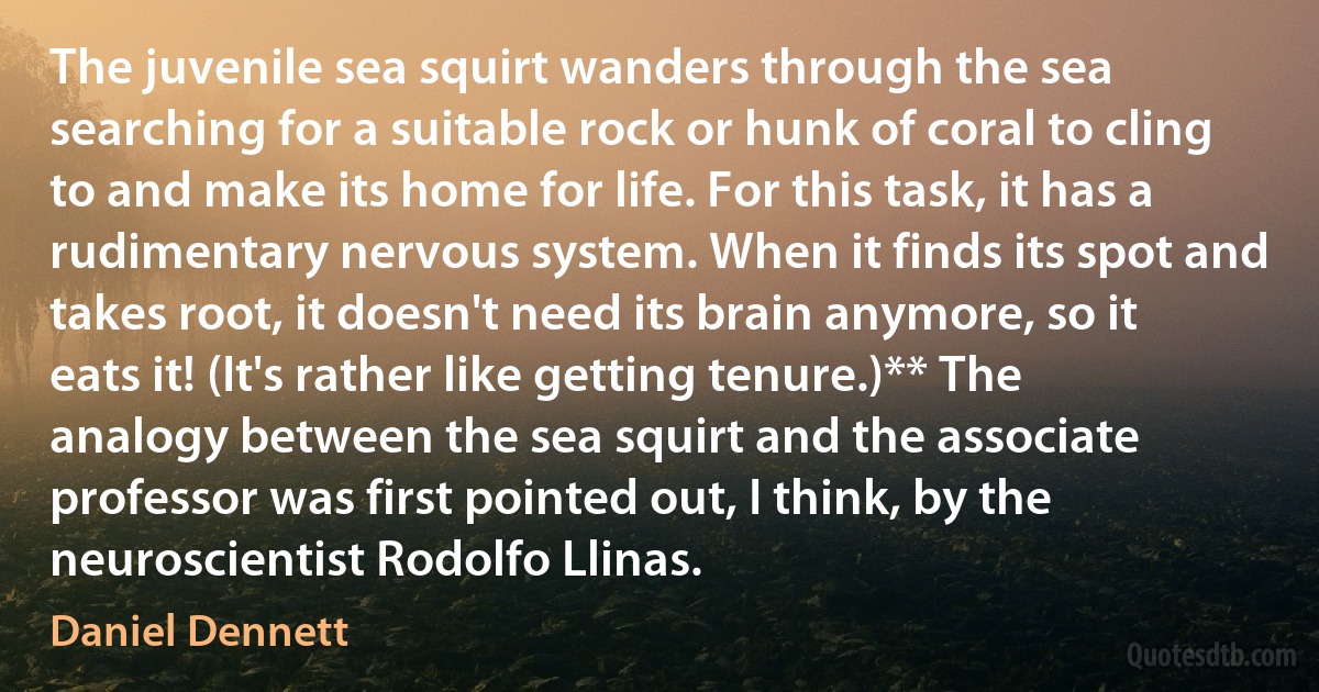 The juvenile sea squirt wanders through the sea searching for a suitable rock or hunk of coral to cling to and make its home for life. For this task, it has a rudimentary nervous system. When it finds its spot and takes root, it doesn't need its brain anymore, so it eats it! (It's rather like getting tenure.)** The analogy between the sea squirt and the associate professor was first pointed out, I think, by the neuroscientist Rodolfo Llinas. (Daniel Dennett)