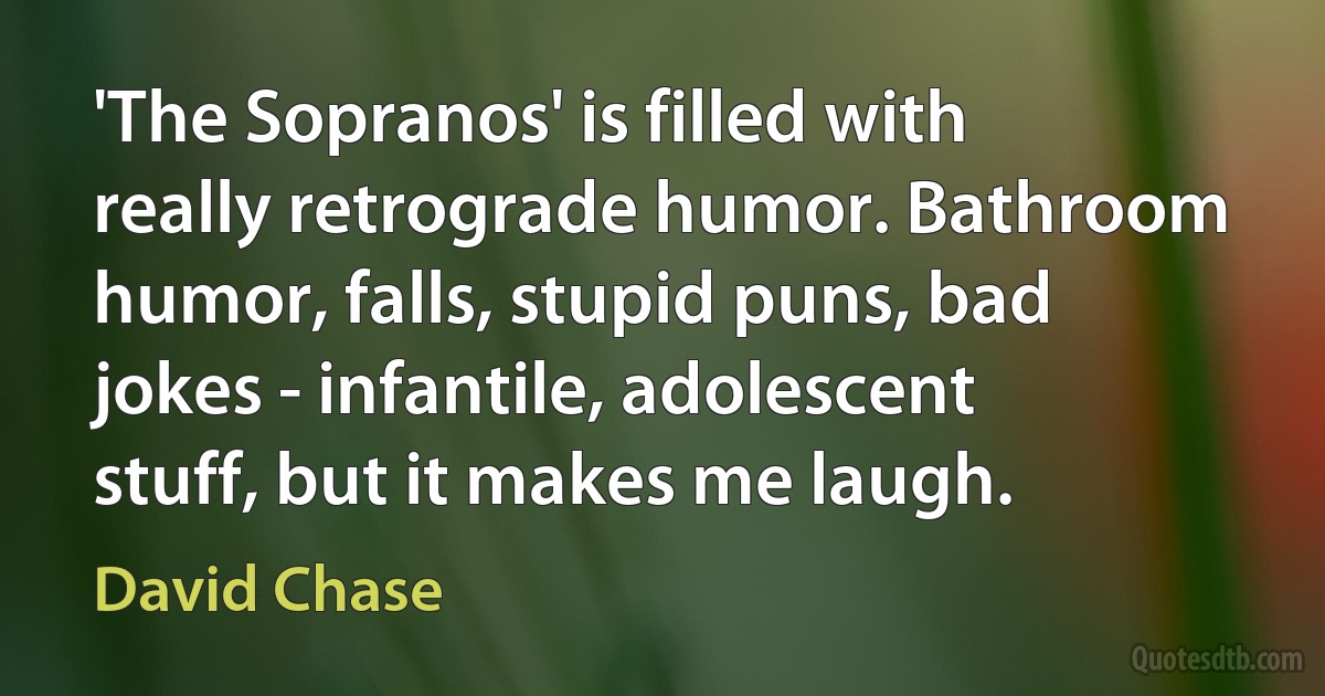 'The Sopranos' is filled with really retrograde humor. Bathroom humor, falls, stupid puns, bad jokes - infantile, adolescent stuff, but it makes me laugh. (David Chase)