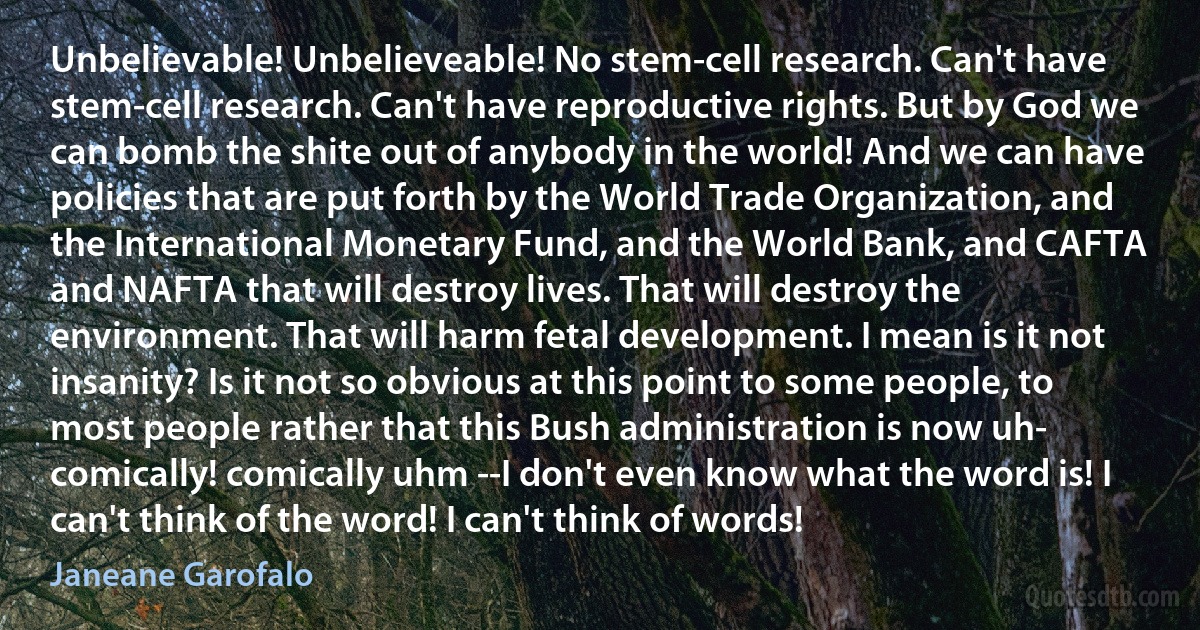 Unbelievable! Unbelieveable! No stem-cell research. Can't have stem-cell research. Can't have reproductive rights. But by God we can bomb the shite out of anybody in the world! And we can have policies that are put forth by the World Trade Organization, and the International Monetary Fund, and the World Bank, and CAFTA and NAFTA that will destroy lives. That will destroy the environment. That will harm fetal development. I mean is it not insanity? Is it not so obvious at this point to some people, to most people rather that this Bush administration is now uh- comically! comically uhm --I don't even know what the word is! I can't think of the word! I can't think of words! (Janeane Garofalo)