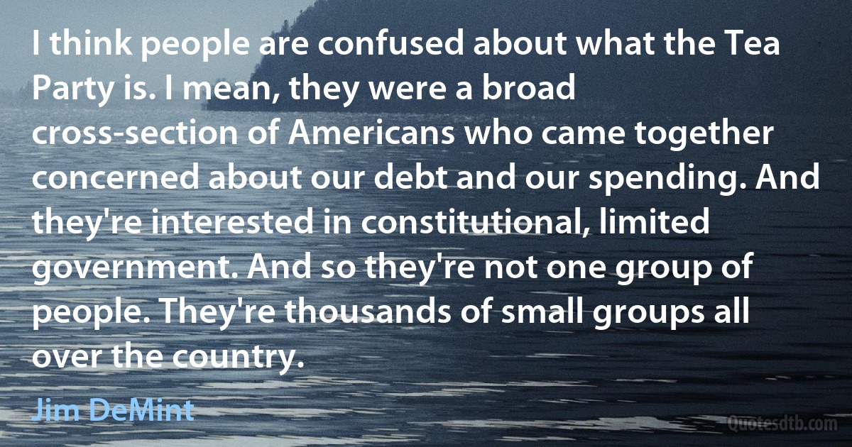 I think people are confused about what the Tea Party is. I mean, they were a broad cross-section of Americans who came together concerned about our debt and our spending. And they're interested in constitutional, limited government. And so they're not one group of people. They're thousands of small groups all over the country. (Jim DeMint)