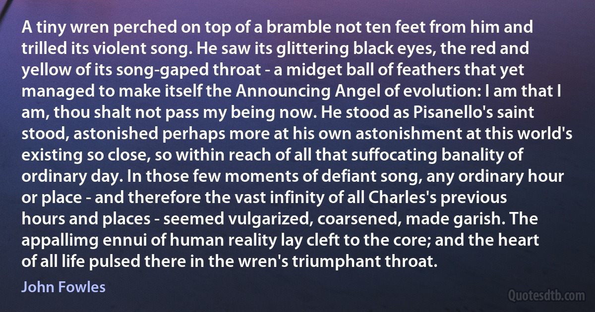 A tiny wren perched on top of a bramble not ten feet from him and trilled its violent song. He saw its glittering black eyes, the red and yellow of its song-gaped throat - a midget ball of feathers that yet managed to make itself the Announcing Angel of evolution: I am that I am, thou shalt not pass my being now. He stood as Pisanello's saint stood, astonished perhaps more at his own astonishment at this world's existing so close, so within reach of all that suffocating banality of ordinary day. In those few moments of defiant song, any ordinary hour or place - and therefore the vast infinity of all Charles's previous hours and places - seemed vulgarized, coarsened, made garish. The appallimg ennui of human reality lay cleft to the core; and the heart of all life pulsed there in the wren's triumphant throat. (John Fowles)