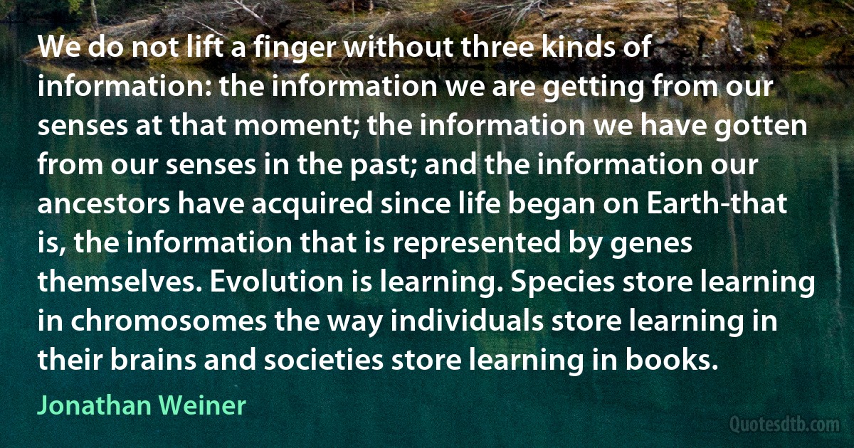 We do not lift a finger without three kinds of information: the information we are getting from our senses at that moment; the information we have gotten from our senses in the past; and the information our ancestors have acquired since life began on Earth-that is, the information that is represented by genes themselves. Evolution is learning. Species store learning in chromosomes the way individuals store learning in their brains and societies store learning in books. (Jonathan Weiner)