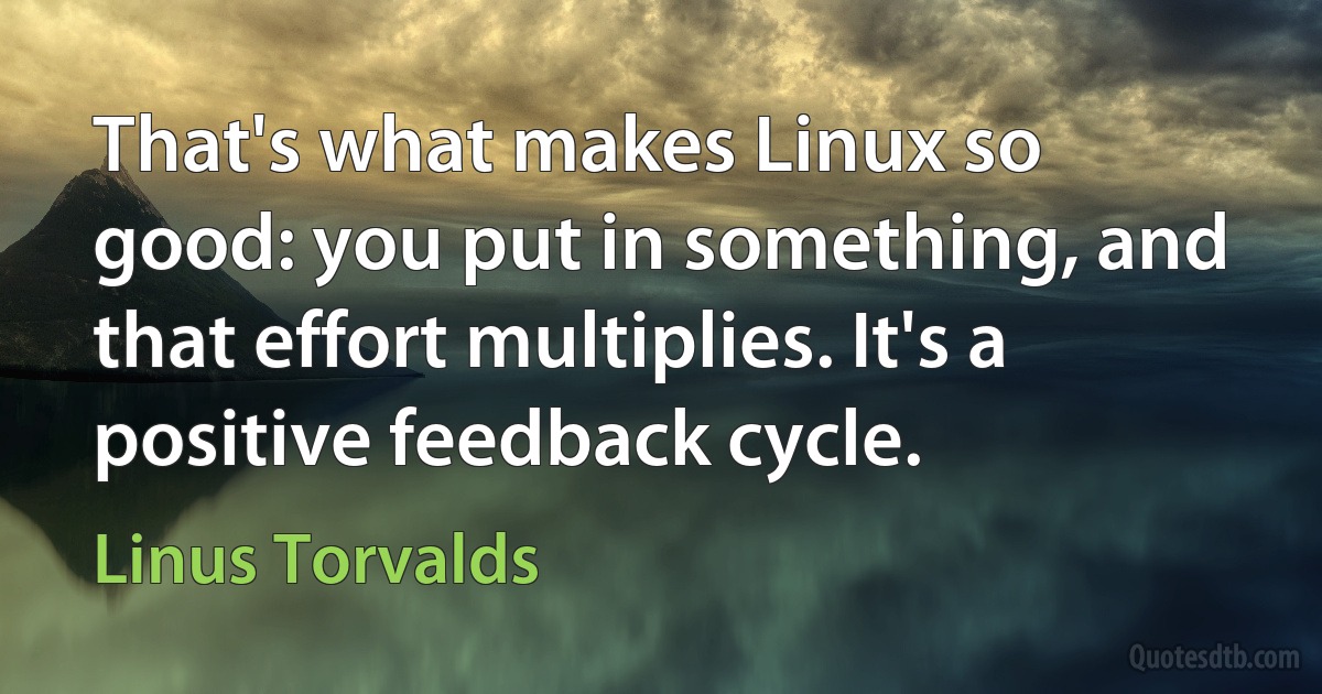 That's what makes Linux so good: you put in something, and that effort multiplies. It's a positive feedback cycle. (Linus Torvalds)