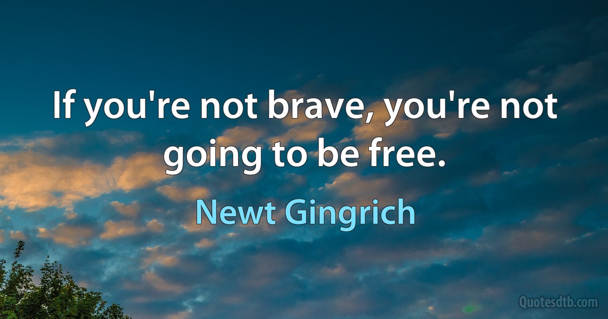 If you're not brave, you're not going to be free. (Newt Gingrich)