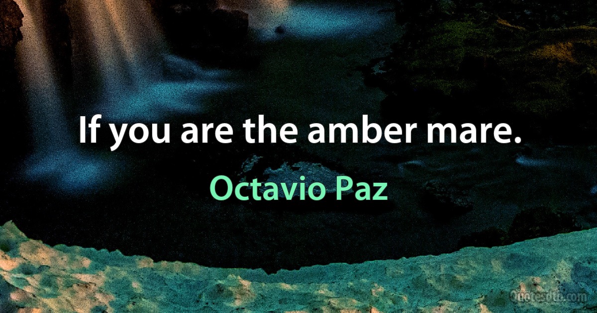 If you are the amber mare. (Octavio Paz)