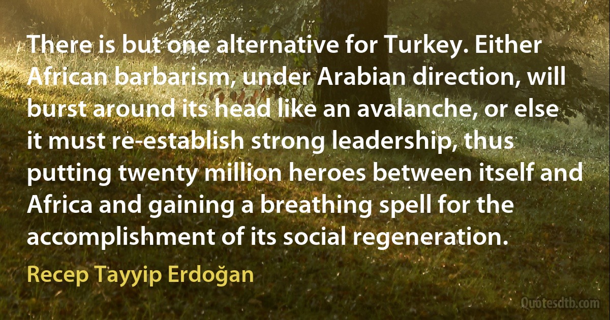 There is but one alternative for Turkey. Either African barbarism, under Arabian direction, will burst around its head like an avalanche, or else it must re-establish strong leadership, thus putting twenty million heroes between itself and Africa and gaining a breathing spell for the accomplishment of its social regeneration. (Recep Tayyip Erdoğan)