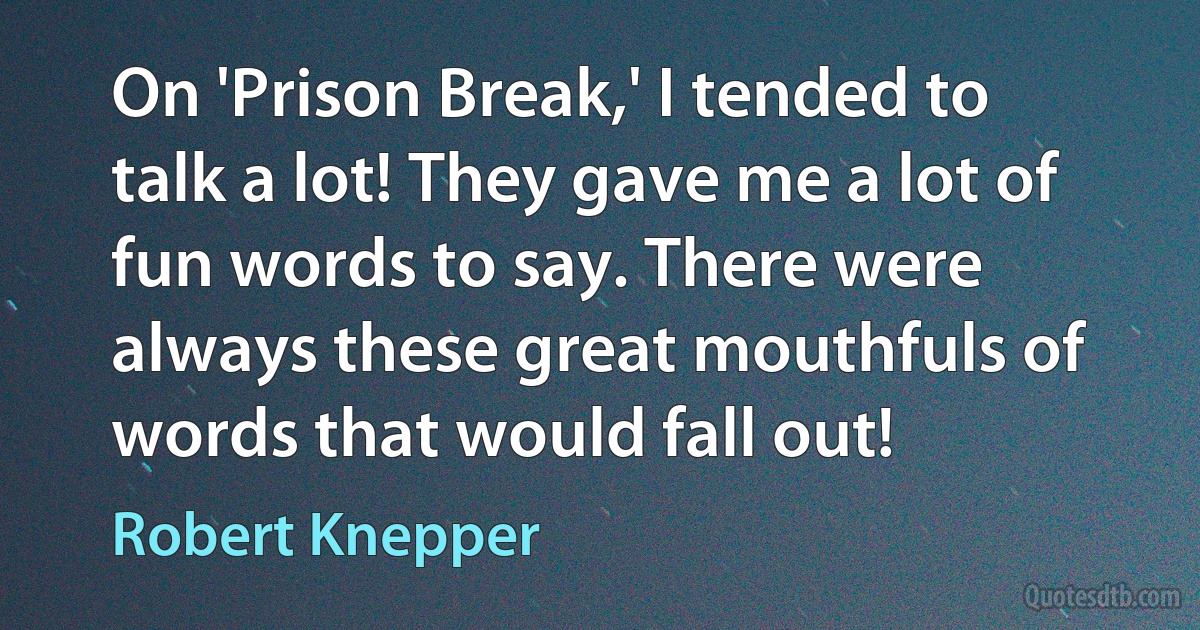 On 'Prison Break,' I tended to talk a lot! They gave me a lot of fun words to say. There were always these great mouthfuls of words that would fall out! (Robert Knepper)