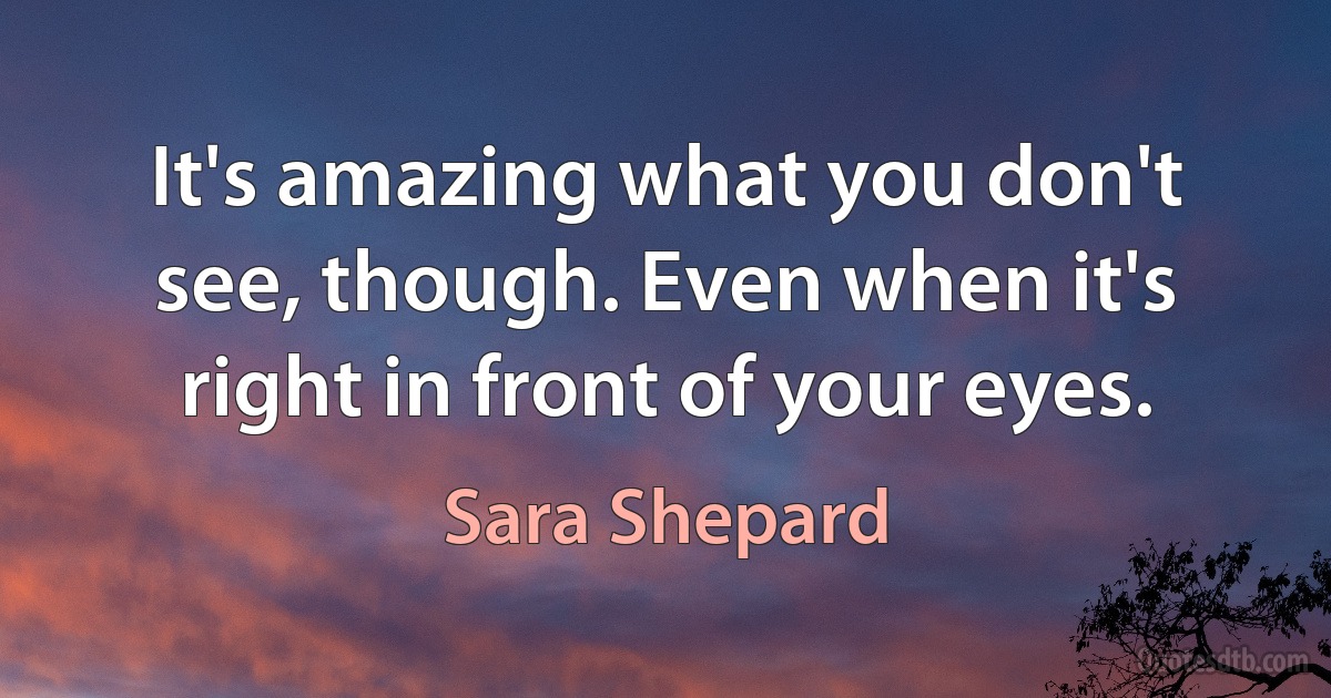 It's amazing what you don't see, though. Even when it's right in front of your eyes. (Sara Shepard)