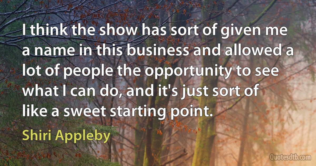 I think the show has sort of given me a name in this business and allowed a lot of people the opportunity to see what I can do, and it's just sort of like a sweet starting point. (Shiri Appleby)