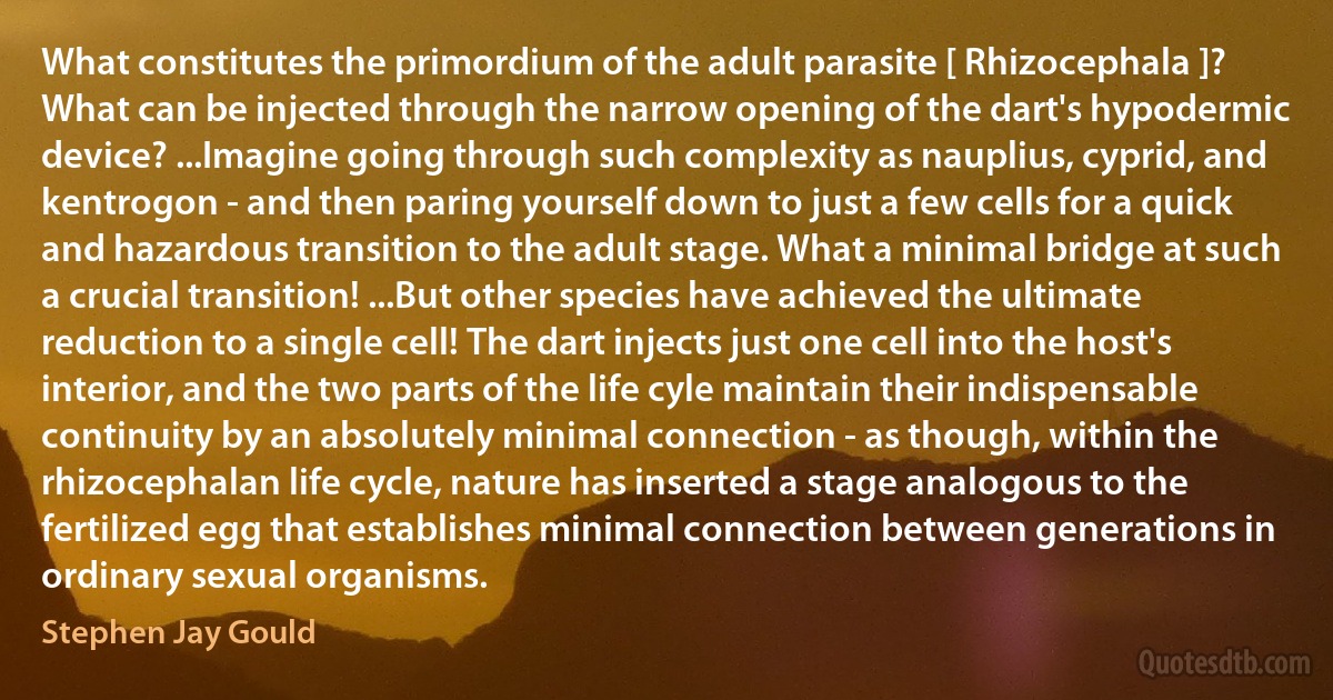 What constitutes the primordium of the adult parasite [ Rhizocephala ]? What can be injected through the narrow opening of the dart's hypodermic device? ...Imagine going through such complexity as nauplius, cyprid, and kentrogon - and then paring yourself down to just a few cells for a quick and hazardous transition to the adult stage. What a minimal bridge at such a crucial transition! ...But other species have achieved the ultimate reduction to a single cell! The dart injects just one cell into the host's interior, and the two parts of the life cyle maintain their indispensable continuity by an absolutely minimal connection - as though, within the rhizocephalan life cycle, nature has inserted a stage analogous to the fertilized egg that establishes minimal connection between generations in ordinary sexual organisms. (Stephen Jay Gould)