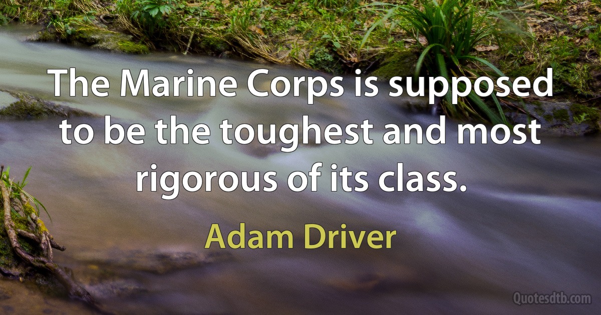 The Marine Corps is supposed to be the toughest and most rigorous of its class. (Adam Driver)