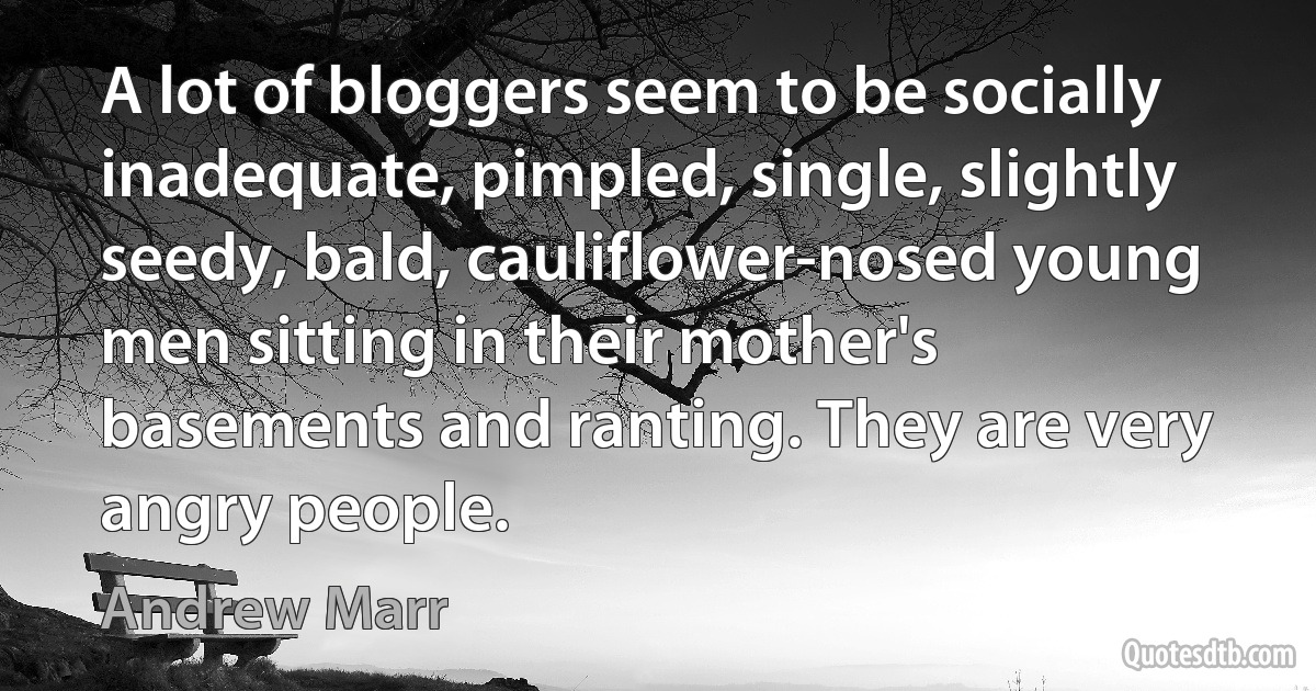 A lot of bloggers seem to be socially inadequate, pimpled, single, slightly seedy, bald, cauliflower-nosed young men sitting in their mother's basements and ranting. They are very angry people. (Andrew Marr)