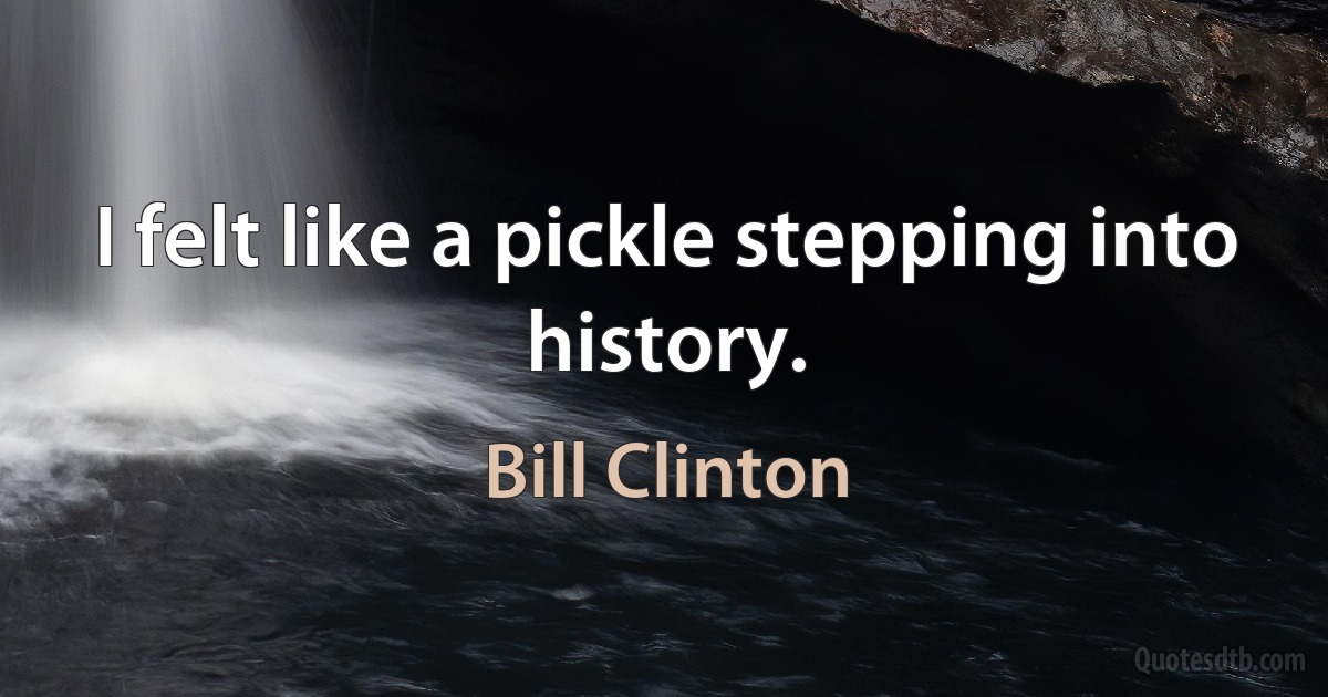 I felt like a pickle stepping into history. (Bill Clinton)