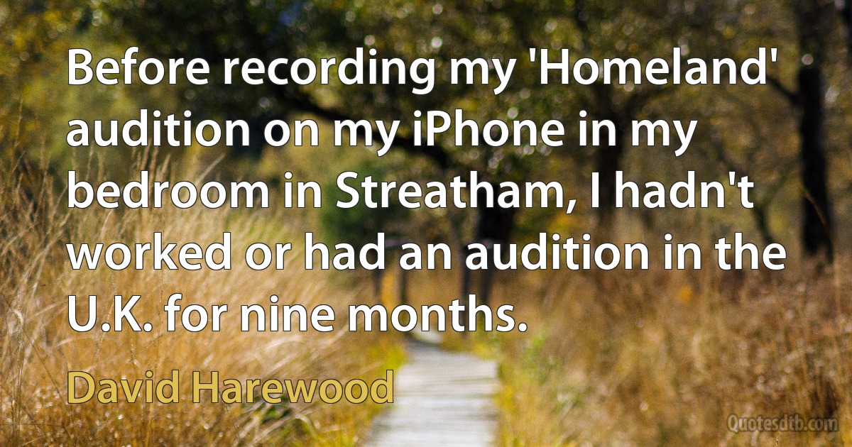 Before recording my 'Homeland' audition on my iPhone in my bedroom in Streatham, I hadn't worked or had an audition in the U.K. for nine months. (David Harewood)