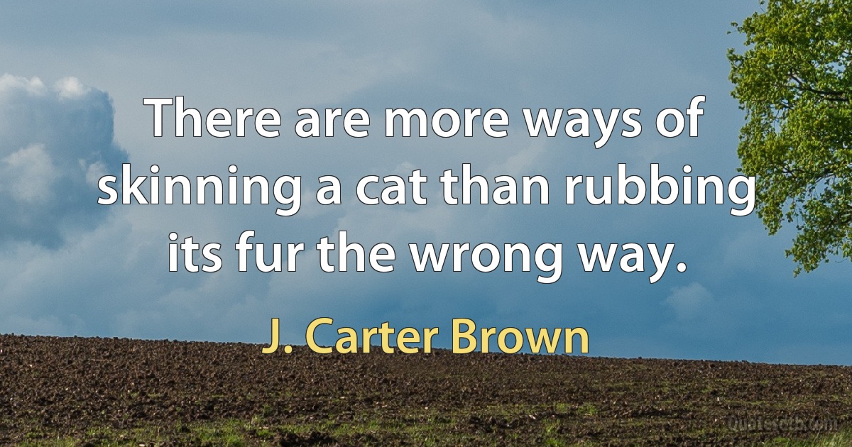 There are more ways of skinning a cat than rubbing its fur the wrong way. (J. Carter Brown)