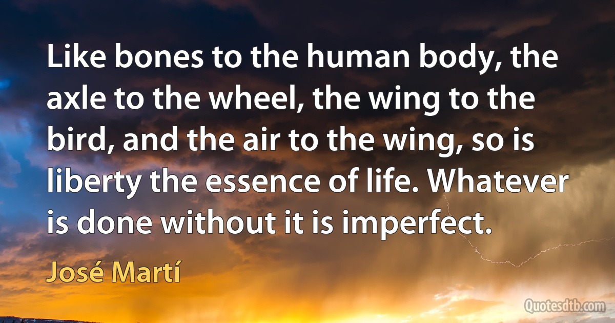 Like bones to the human body, the axle to the wheel, the wing to the bird, and the air to the wing, so is liberty the essence of life. Whatever is done without it is imperfect. (José Martí)