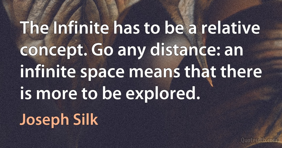 The Infinite has to be a relative concept. Go any distance: an infinite space means that there is more to be explored. (Joseph Silk)