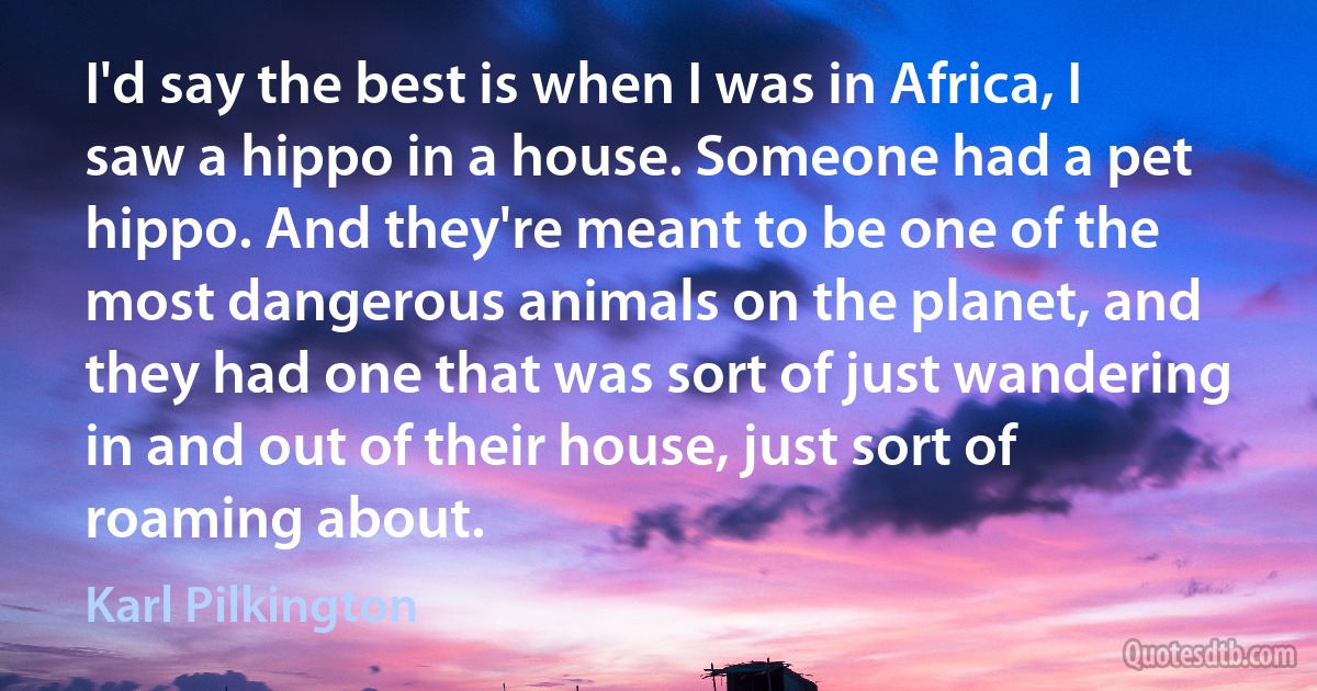 I'd say the best is when I was in Africa, I saw a hippo in a house. Someone had a pet hippo. And they're meant to be one of the most dangerous animals on the planet, and they had one that was sort of just wandering in and out of their house, just sort of roaming about. (Karl Pilkington)