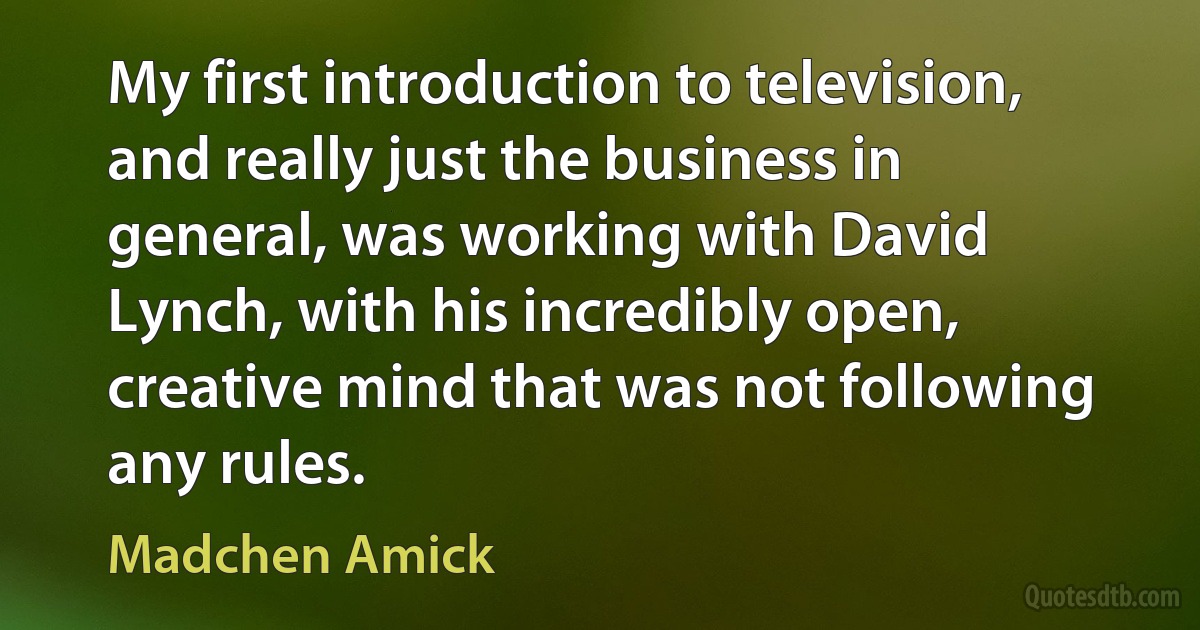 My first introduction to television, and really just the business in general, was working with David Lynch, with his incredibly open, creative mind that was not following any rules. (Madchen Amick)