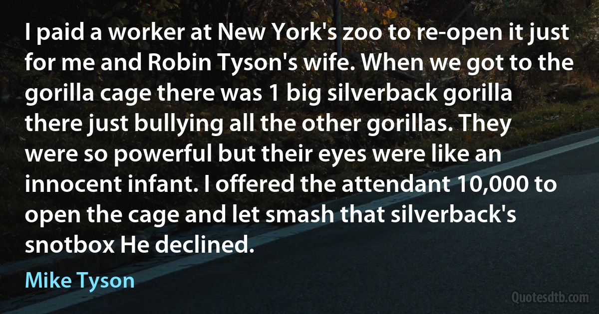 I paid a worker at New York's zoo to re-open it just for me and Robin Tyson's wife. When we got to the gorilla cage there was 1 big silverback gorilla there just bullying all the other gorillas. They were so powerful but their eyes were like an innocent infant. I offered the attendant 10,000 to open the cage and let smash that silverback's snotbox He declined. (Mike Tyson)