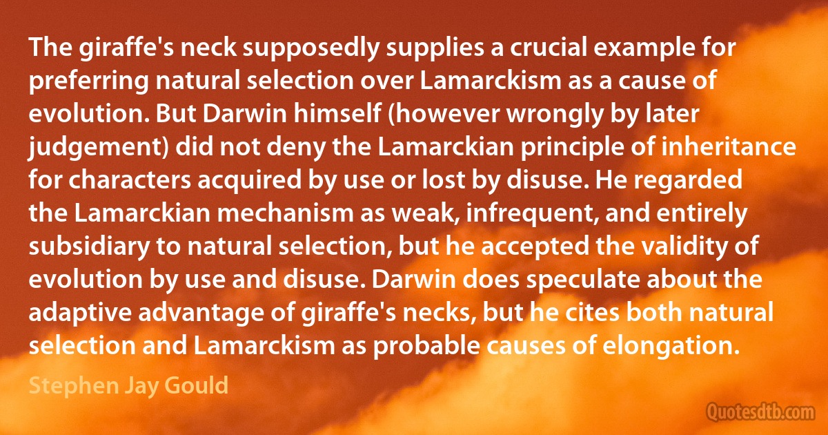 The giraffe's neck supposedly supplies a crucial example for preferring natural selection over Lamarckism as a cause of evolution. But Darwin himself (however wrongly by later judgement) did not deny the Lamarckian principle of inheritance for characters acquired by use or lost by disuse. He regarded the Lamarckian mechanism as weak, infrequent, and entirely subsidiary to natural selection, but he accepted the validity of evolution by use and disuse. Darwin does speculate about the adaptive advantage of giraffe's necks, but he cites both natural selection and Lamarckism as probable causes of elongation. (Stephen Jay Gould)