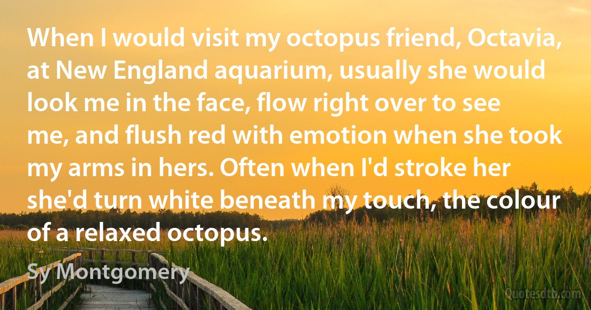 When I would visit my octopus friend, Octavia, at New England aquarium, usually she would look me in the face, flow right over to see me, and flush red with emotion when she took my arms in hers. Often when I'd stroke her she'd turn white beneath my touch, the colour of a relaxed octopus. (Sy Montgomery)