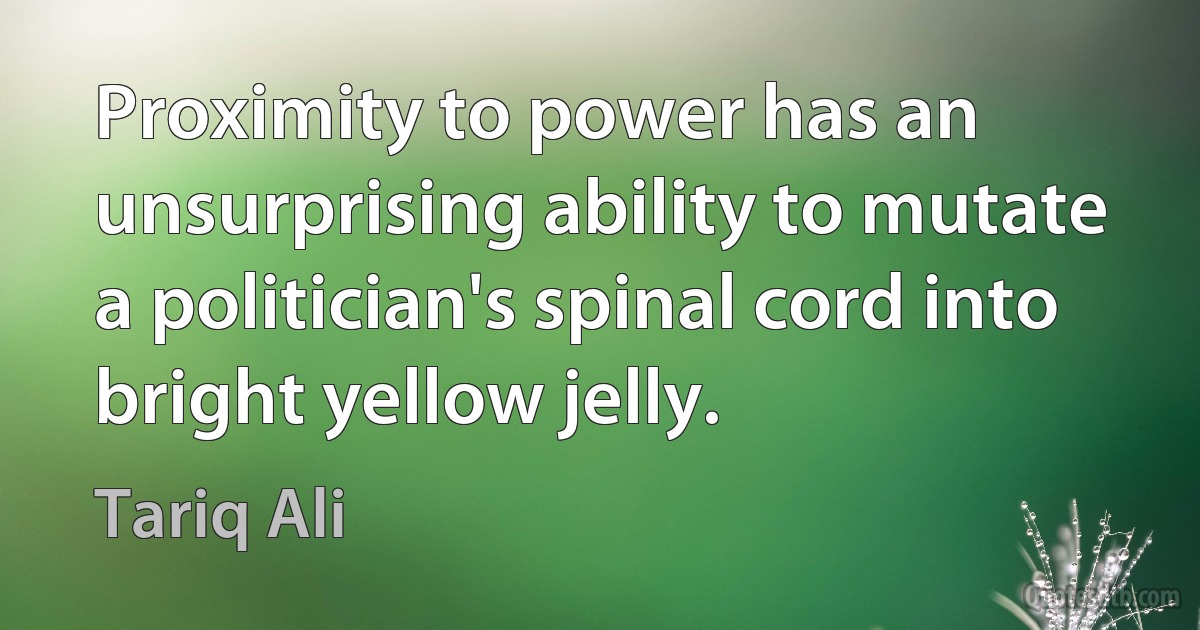 Proximity to power has an unsurprising ability to mutate a politician's spinal cord into bright yellow jelly. (Tariq Ali)