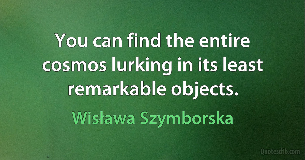 You can find the entire cosmos lurking in its least remarkable objects. (Wisława Szymborska)