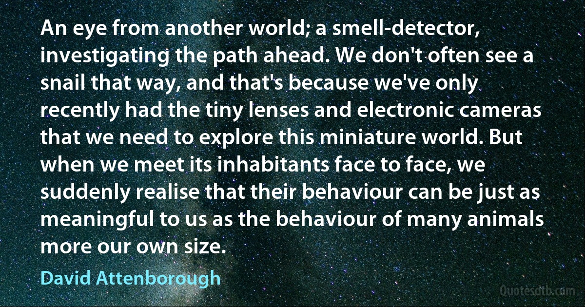 An eye from another world; a smell-detector, investigating the path ahead. We don't often see a snail that way, and that's because we've only recently had the tiny lenses and electronic cameras that we need to explore this miniature world. But when we meet its inhabitants face to face, we suddenly realise that their behaviour can be just as meaningful to us as the behaviour of many animals more our own size. (David Attenborough)