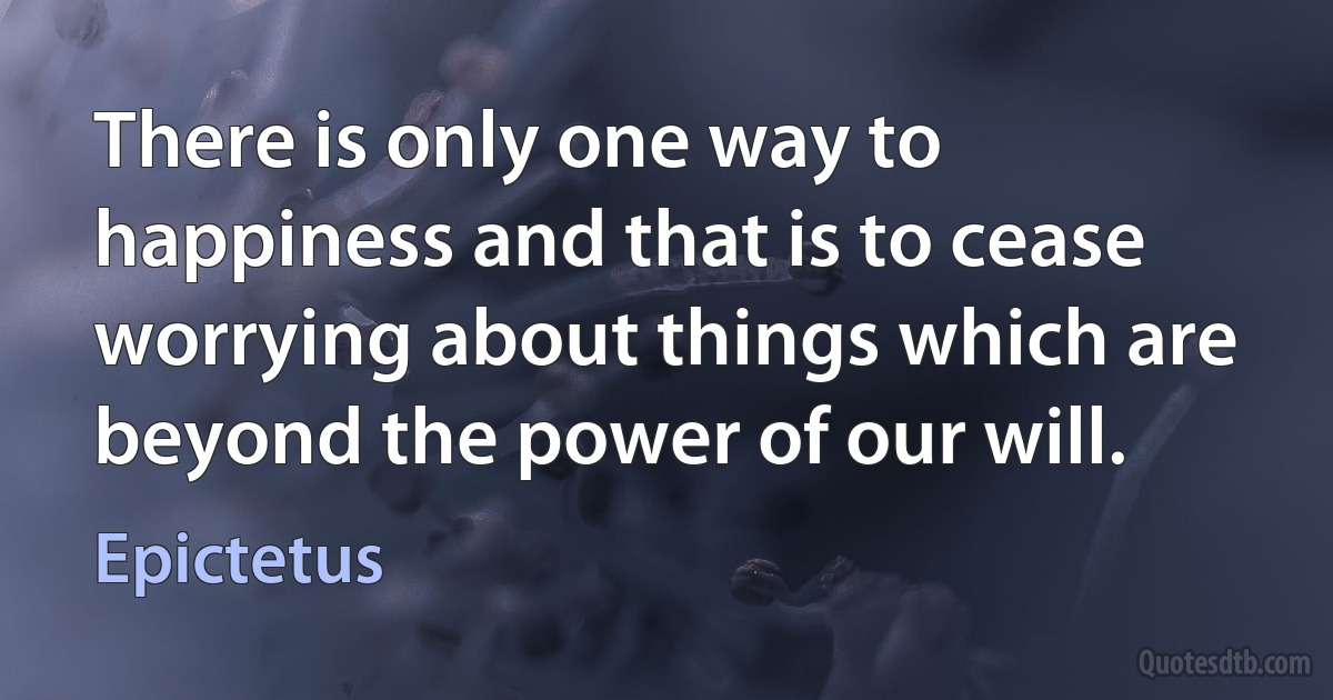 There is only one way to happiness and that is to cease worrying about things which are beyond the power of our will. (Epictetus)