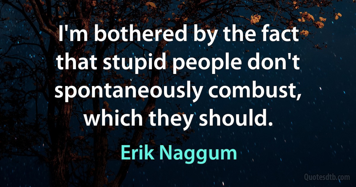 I'm bothered by the fact that stupid people don't spontaneously combust, which they should. (Erik Naggum)