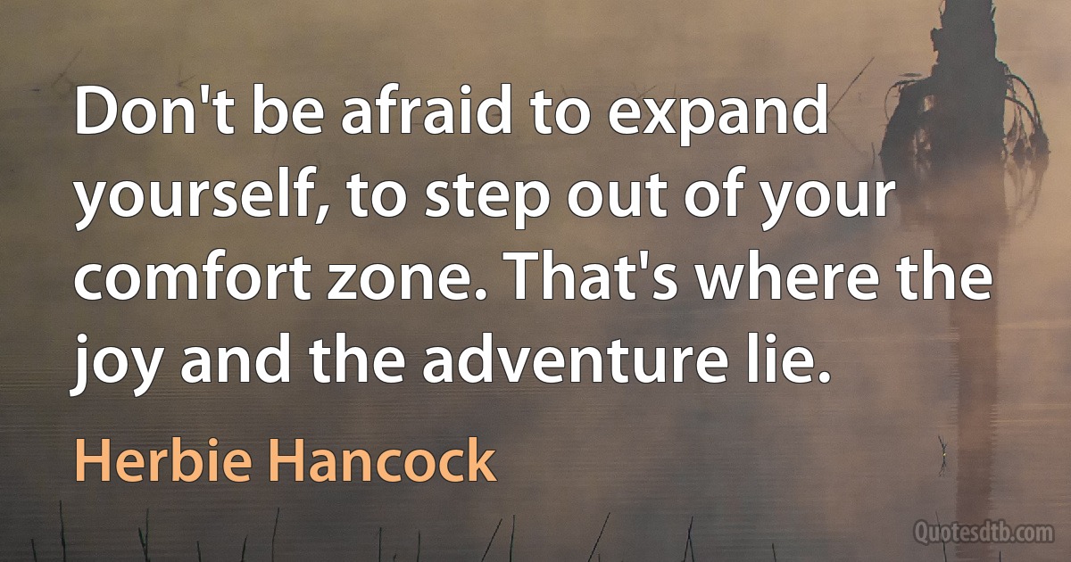 Don't be afraid to expand yourself, to step out of your comfort zone. That's where the joy and the adventure lie. (Herbie Hancock)