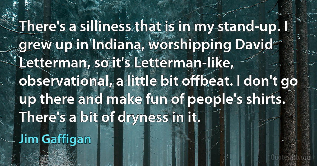 There's a silliness that is in my stand-up. I grew up in Indiana, worshipping David Letterman, so it's Letterman-like, observational, a little bit offbeat. I don't go up there and make fun of people's shirts. There's a bit of dryness in it. (Jim Gaffigan)