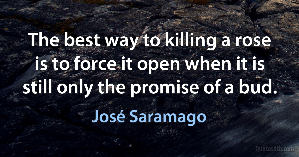 The best way to killing a rose is to force it open when it is still only the promise of a bud. (José Saramago)