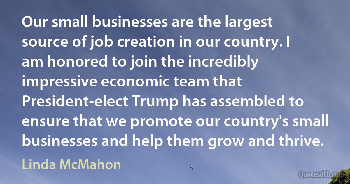 Our small businesses are the largest source of job creation in our country. I am honored to join the incredibly impressive economic team that President-elect Trump has assembled to ensure that we promote our country's small businesses and help them grow and thrive. (Linda McMahon)