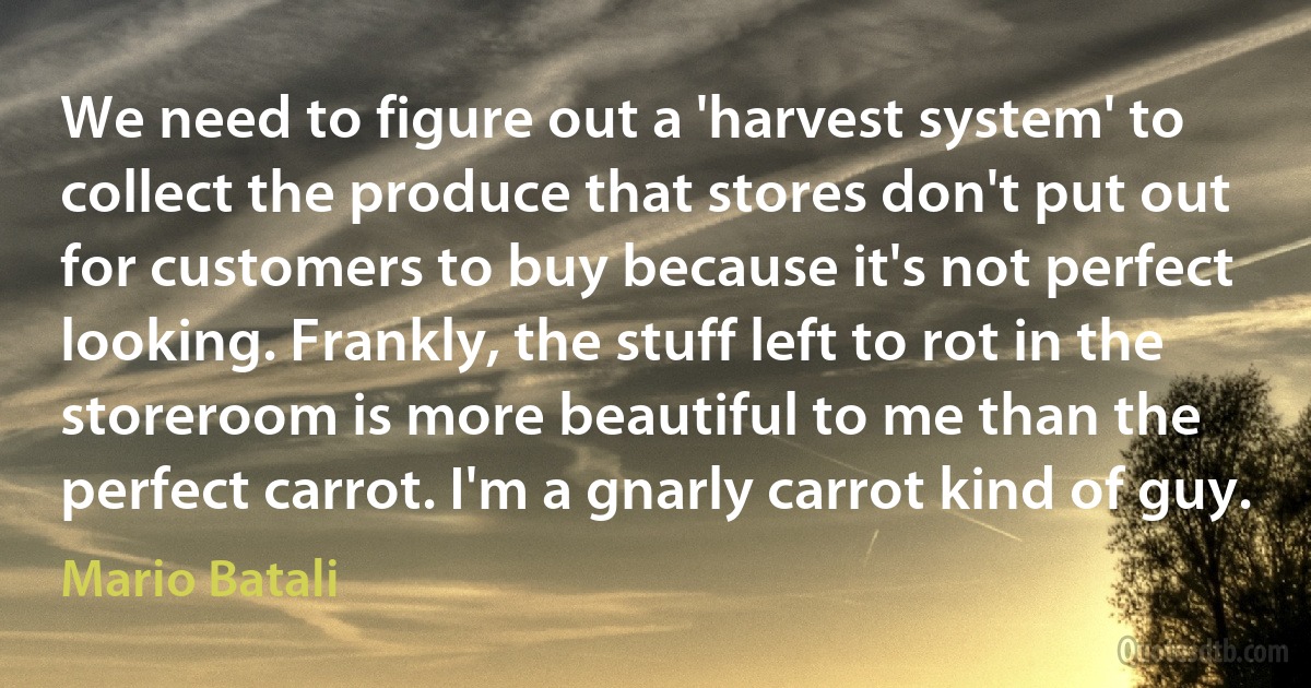 We need to figure out a 'harvest system' to collect the produce that stores don't put out for customers to buy because it's not perfect looking. Frankly, the stuff left to rot in the storeroom is more beautiful to me than the perfect carrot. I'm a gnarly carrot kind of guy. (Mario Batali)