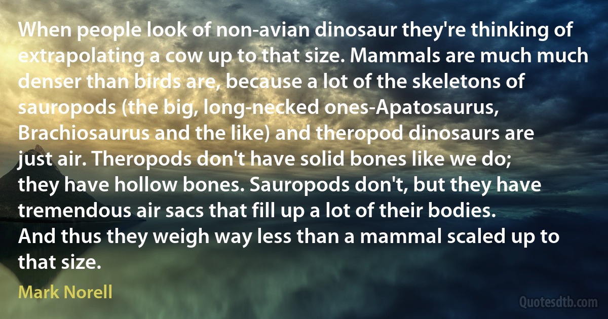 When people look of non-avian dinosaur they're thinking of extrapolating a cow up to that size. Mammals are much much denser than birds are, because a lot of the skeletons of sauropods (the big, long-necked ones-Apatosaurus, Brachiosaurus and the like) and theropod dinosaurs are just air. Theropods don't have solid bones like we do; they have hollow bones. Sauropods don't, but they have tremendous air sacs that fill up a lot of their bodies. And thus they weigh way less than a mammal scaled up to that size. (Mark Norell)