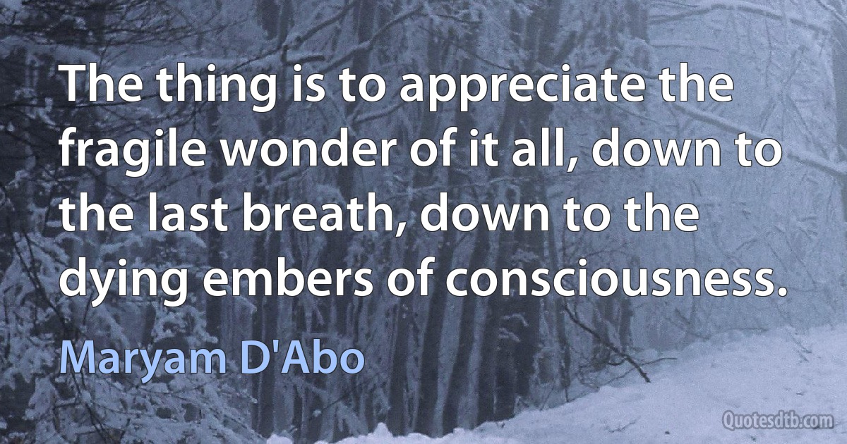 The thing is to appreciate the fragile wonder of it all, down to the last breath, down to the dying embers of consciousness. (Maryam D'Abo)