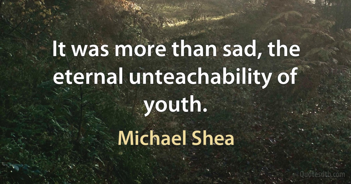 It was more than sad, the eternal unteachability of youth. (Michael Shea)