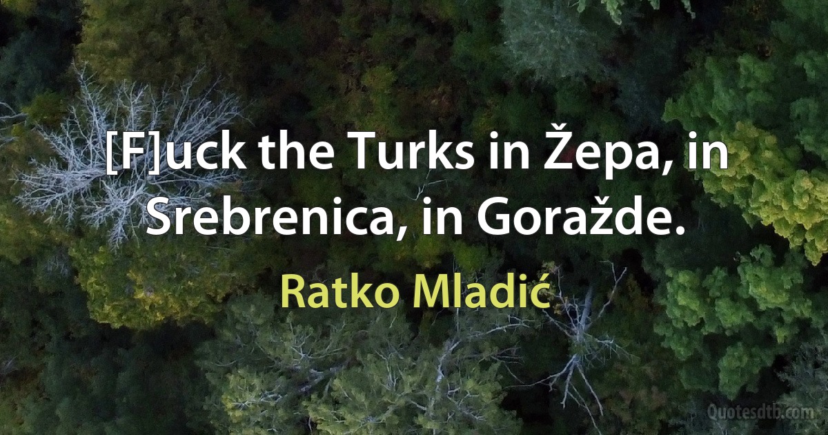 [F]uck the Turks in Žepa, in Srebrenica, in Goražde. (Ratko Mladić)