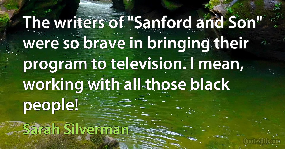 The writers of "Sanford and Son" were so brave in bringing their program to television. I mean, working with all those black people! (Sarah Silverman)