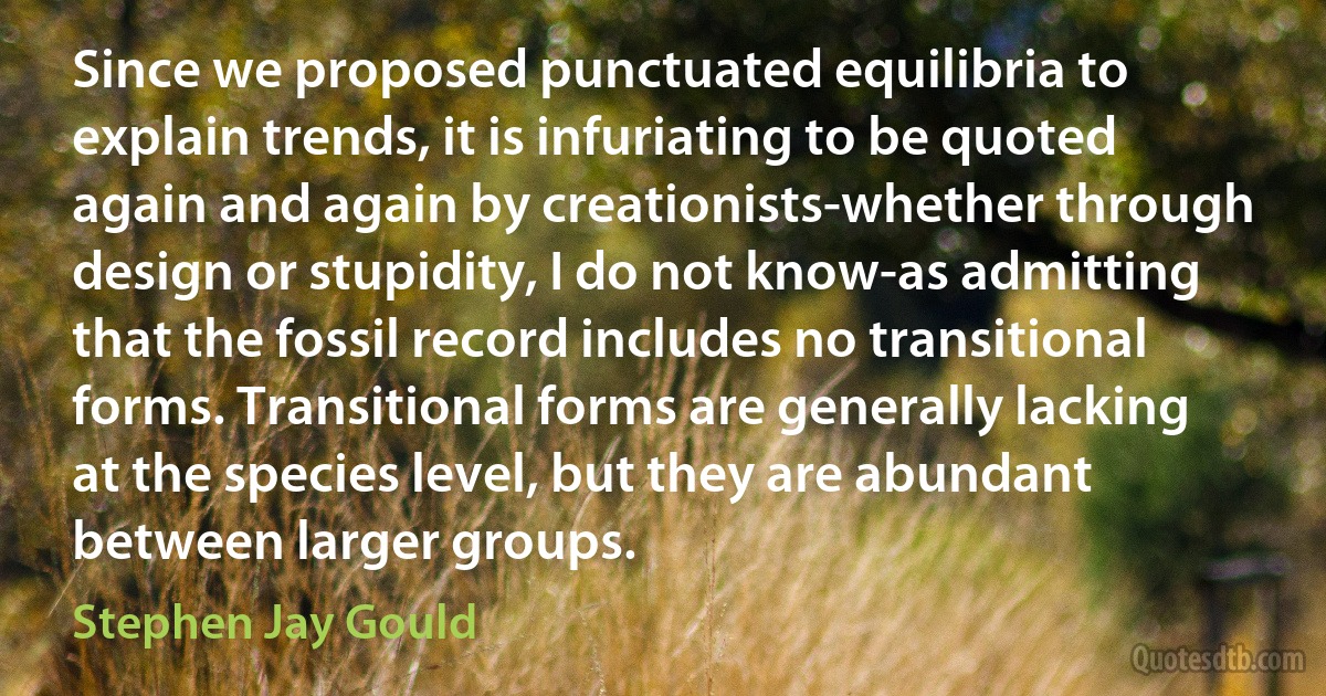 Since we proposed punctuated equilibria to explain trends, it is infuriating to be quoted again and again by creationists-whether through design or stupidity, I do not know-as admitting that the fossil record includes no transitional forms. Transitional forms are generally lacking at the species level, but they are abundant between larger groups. (Stephen Jay Gould)