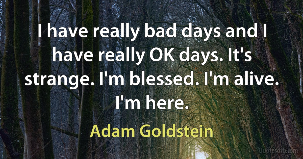 I have really bad days and I have really OK days. It's strange. I'm blessed. I'm alive. I'm here. (Adam Goldstein)