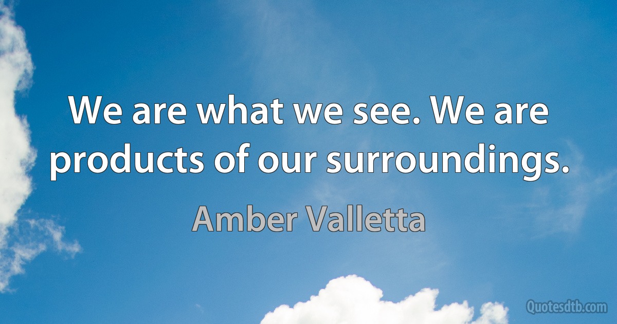 We are what we see. We are products of our surroundings. (Amber Valletta)