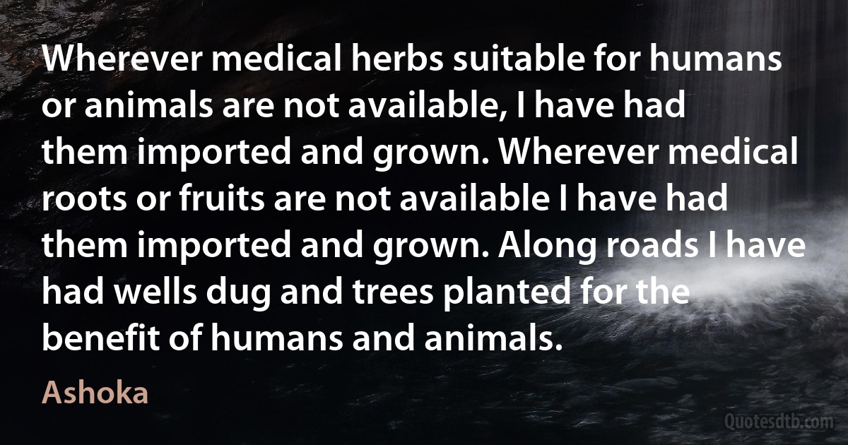 Wherever medical herbs suitable for humans or animals are not available, I have had them imported and grown. Wherever medical roots or fruits are not available I have had them imported and grown. Along roads I have had wells dug and trees planted for the benefit of humans and animals. (Ashoka)