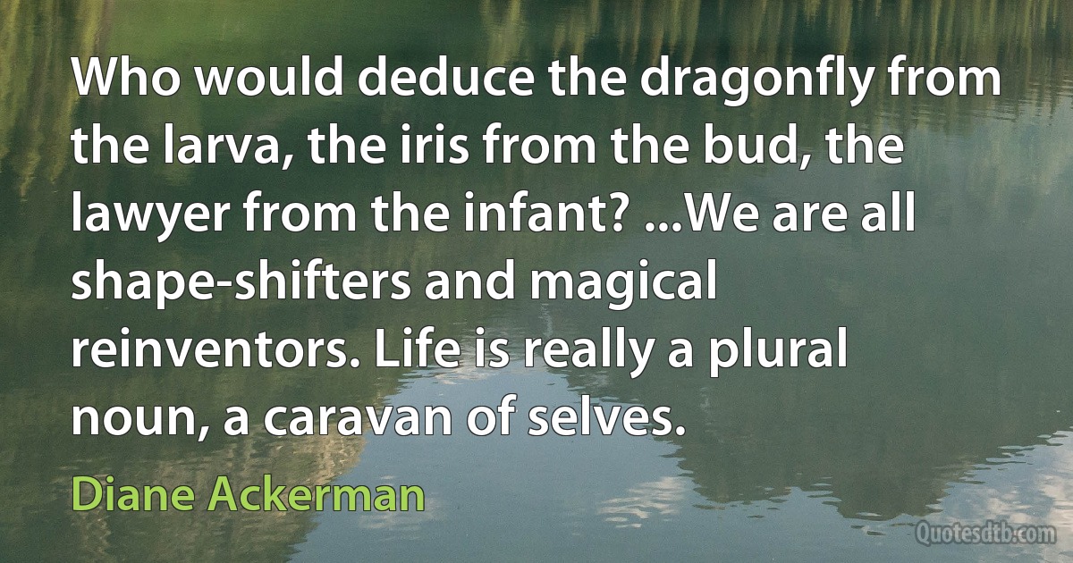 Who would deduce the dragonfly from the larva, the iris from the bud, the lawyer from the infant? ...We are all shape-shifters and magical reinventors. Life is really a plural noun, a caravan of selves. (Diane Ackerman)