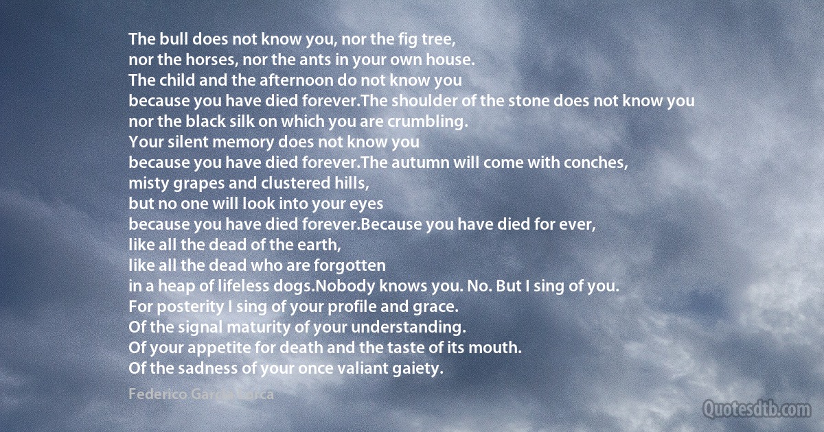 The bull does not know you, nor the fig tree,
nor the horses, nor the ants in your own house.
The child and the afternoon do not know you
because you have died forever.The shoulder of the stone does not know you
nor the black silk on which you are crumbling.
Your silent memory does not know you
because you have died forever.The autumn will come with conches,
misty grapes and clustered hills,
but no one will look into your eyes
because you have died forever.Because you have died for ever,
like all the dead of the earth,
like all the dead who are forgotten
in a heap of lifeless dogs.Nobody knows you. No. But I sing of you.
For posterity I sing of your profile and grace.
Of the signal maturity of your understanding.
Of your appetite for death and the taste of its mouth.
Of the sadness of your once valiant gaiety. (Federico García Lorca)