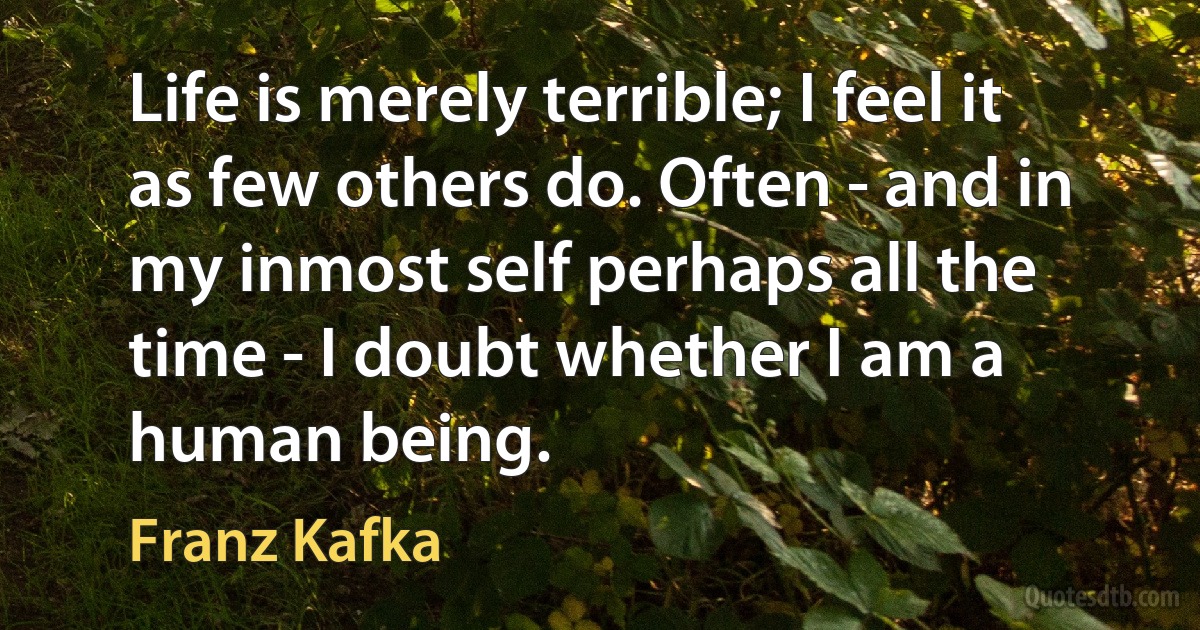 Life is merely terrible; I feel it as few others do. Often - and in my inmost self perhaps all the time - I doubt whether I am a human being. (Franz Kafka)