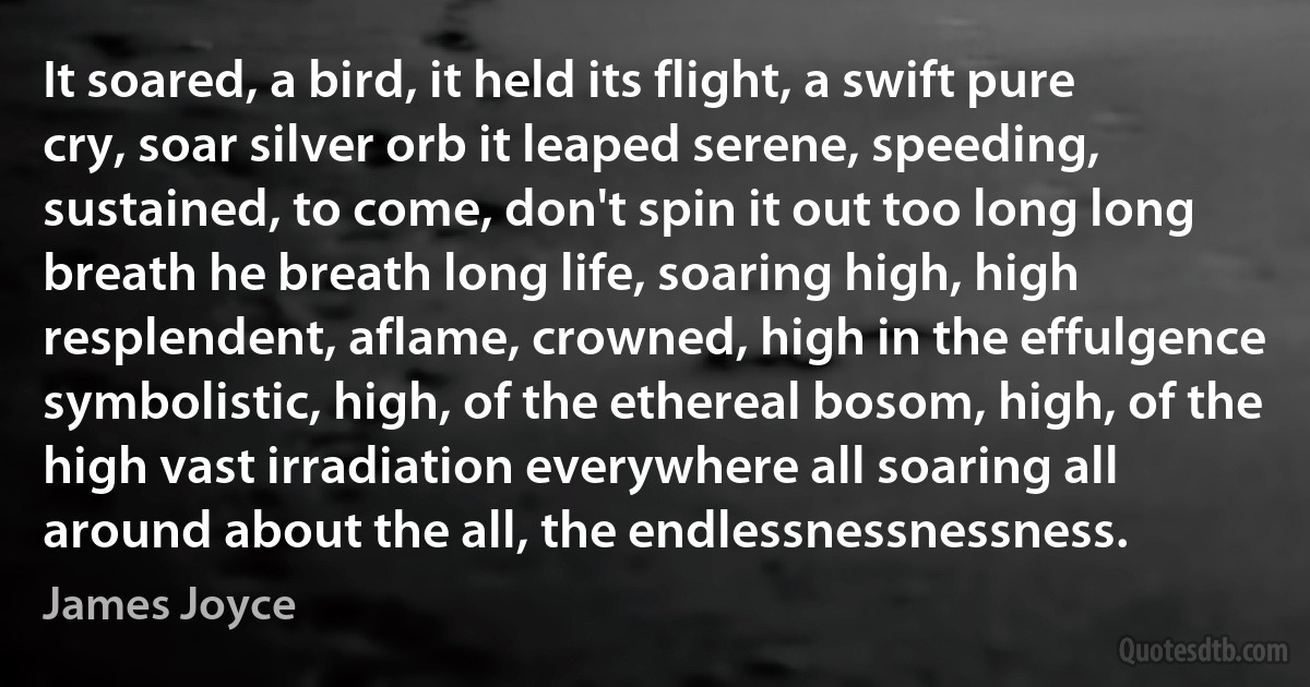 It soared, a bird, it held its flight, a swift pure cry, soar silver orb it leaped serene, speeding, sustained, to come, don't spin it out too long long breath he breath long life, soaring high, high resplendent, aflame, crowned, high in the effulgence symbolistic, high, of the ethereal bosom, high, of the high vast irradiation everywhere all soaring all around about the all, the endlessnessnessness. (James Joyce)